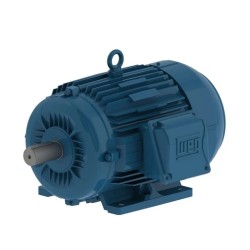 Motor W22 WEG de Eficiencia Estándar
