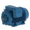 Motor W22 WEG de Eficiencia Estándar