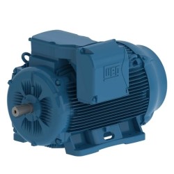 Motor W22 WEG de Eficiencia Estándar