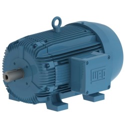 Motor Antiexplosivo WEG W21 30 HP 22 kW 2P | ISB