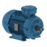 Motor WEG W21 1 HP 2P 220/380V B3 | ISB Argentina