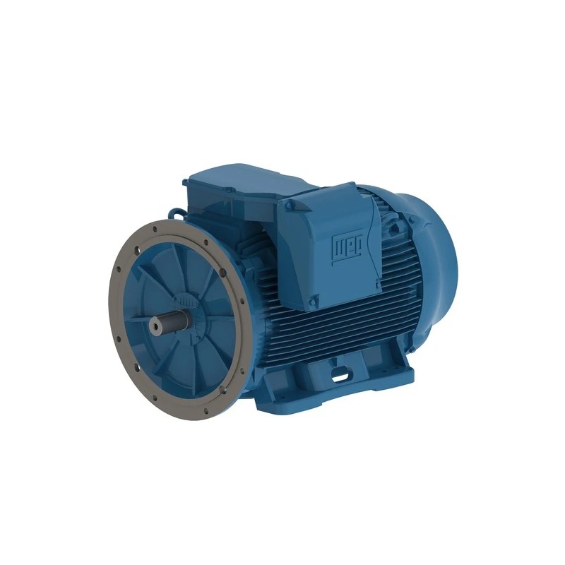 Motor WEG W22 125 HP 8 Polos 315 IE1 | ISB Argentina